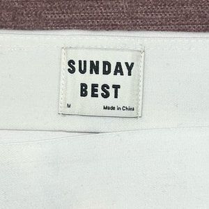 Aritzia - Sunday Best mini skirt